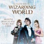 Magia Świąt Wizarding World