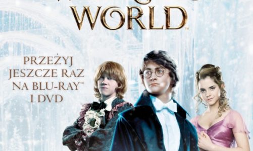 Magia Świąt Wizarding World